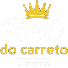logo 1a